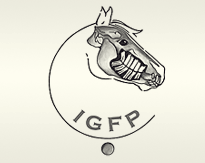IGFP congress Equus Dental Harmony IGFP congress Equus Dental Harmony